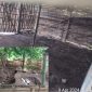 Gudang Pengoplos BBM di Pasrepan, Dibongkar (foto: ist)