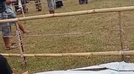 Suasana Lomba Layang-layang, Desa Sempol, Kecamatan Pagak, Kabupaten Malang, yang diduga sebagai ajang Perjudian (dok. Harianjatim.id)