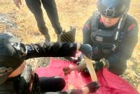 Tim Jibom Detasemen Gegana Sat Brimob Polda Jatim, saat proses pemusnahan mortir dan ranjau darat, di Kecamatan Puspo, Pasuruan (foto: ist)