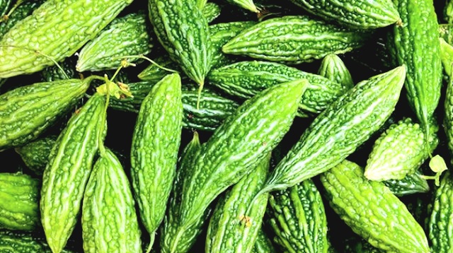 Ini adalah wujud dari sayur Pare, yang mungkin, tidak asing lagi bagi masyarakat luas. (foto: ist)