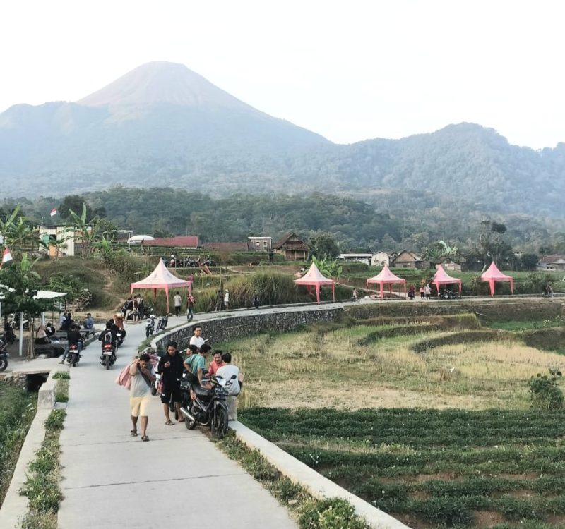 Pesona Alam Pemandangan 