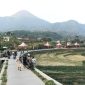 Pesona Alam Pemandangan 