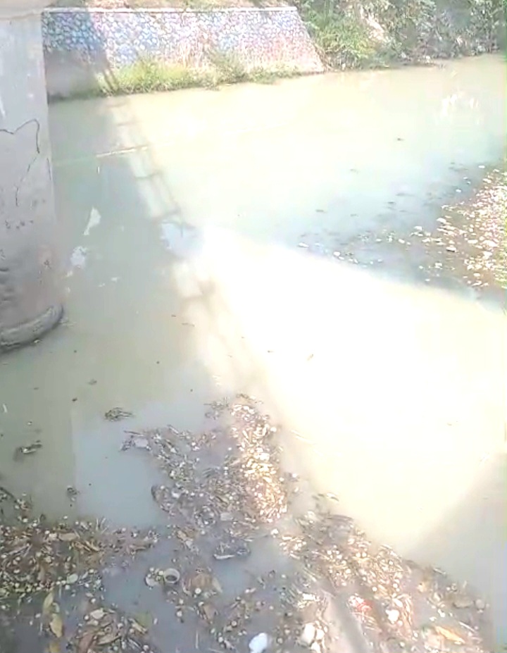 Kondisi air aliran sungai wangi, di bawah jembatan tanggul, Desa Baujeng, Kecamatan Beji, Kabupaten Pasuruan, (Dok.Harianjatim.id)
