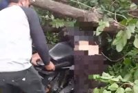 Sejumlah warga saat evakuasi korban yang tertimpa pohon di Wonorejo, saat angin kencang (Dok.Harianjatim.id)