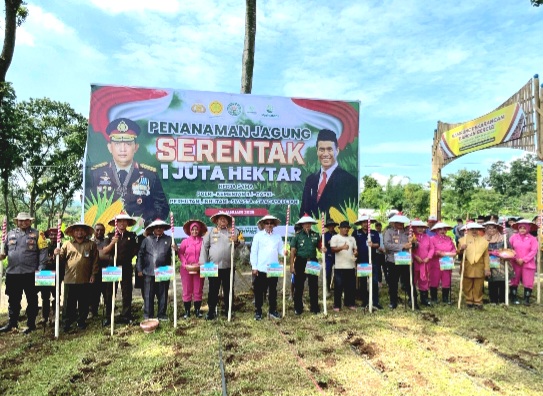 Kementan RI, Ir. Andi Amran Sulaiman Bersama Jajaran Forkopimda Kabupaten Pasuruan, Tanam Jagung Serentak 1 Juta Hektar ( foto: ist)