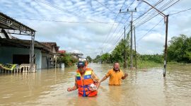 Menjadi Langganan Banjir, wilayah Gresik Selatan, memerlukan perhatian yang serius dari Pemerintah Kabupaten  Gresik  (Dok. Harianjatim.id)