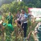 Kapolsek Winongan bersama Anggota hadiri panen raya di Desa Jeladri sebagai support kepolisian dalam program ketahanan pangan (foto : ist)