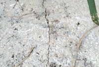 Nampak bangunan rabat beton belum genap 1 bulan sudah pecah-pecah (Dok. Harianjatim.id)